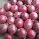 精品大果2024新鲜紫红皮洋葱包邮农家自种圆葱新鲜蔬菜5斤3斤河南