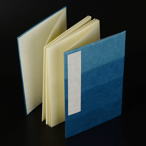 特价阿波漂 矶钓 日本