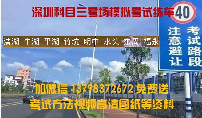 深圳清湖牛湖辅城坳华南城竹坑水头东周科目三考场模拟考试练车