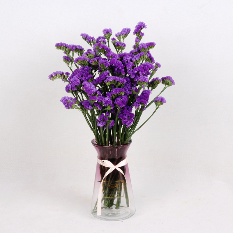 勿忘我鲜花速递花束生日厦门深圳北京上海长春大连同城花店送花