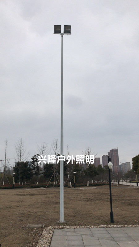 搜图宝 米高杆灯  太阳能路灯户外灯路灯杆庭院灯6米新农村led家用