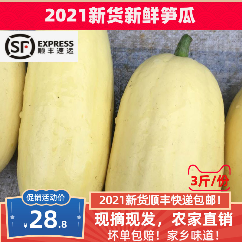 新鲜笋瓜黄皮笋瓜白南瓜3斤嫩菜瓜绿色蔬菜农家自种直销顺丰包邮