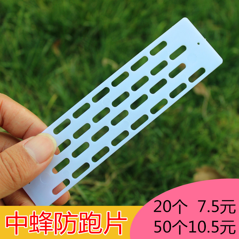 蜂王防跑片中蜂王防逃片塑料防逃器隔王片脱粉器接粉盒防跑防盗片