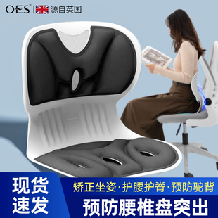 OES护腰坐垫久坐成人矫正坐姿神器办公室贝壳花瓣座椅靠背椅垫
