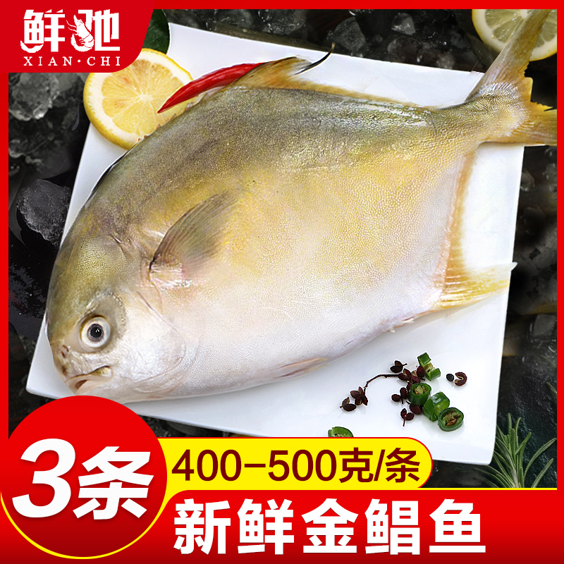 鲜驰鲳鱼新鲜鲜活海鱼平鱼大金昌鱼深海金银鲳鱼海鲜水产冷冻包邮|ruв категории водной мясо/свежие фрукты и овощи/еда, морепродукты/водные продукты/изделия, морепродукты и рыба, 鲳鱼 - от Buy2taobao.com для оказания профессиональной услуги покупки агента Taobao