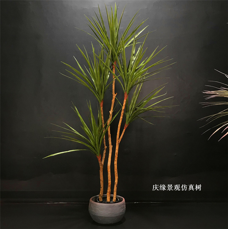 真龙血树盆栽室内大型植物龙须兰欧式仿真绿植