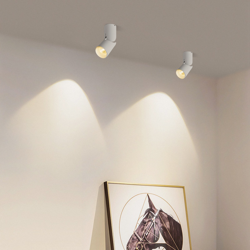 明装智能射灯米家天猫精灵调光商用无主灯客厅家用防眩吸顶射灯