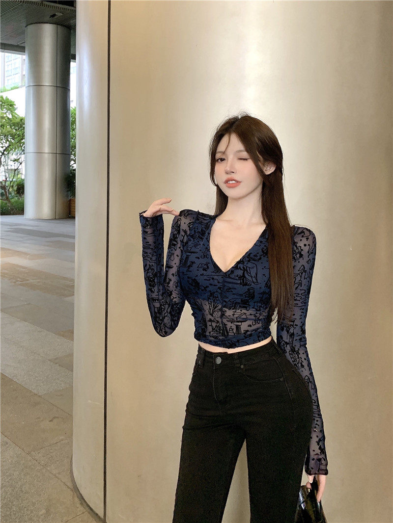 网纱t恤女装v领设计感小众性感纯欲风长袖内搭打底衫春季辣妹上衣