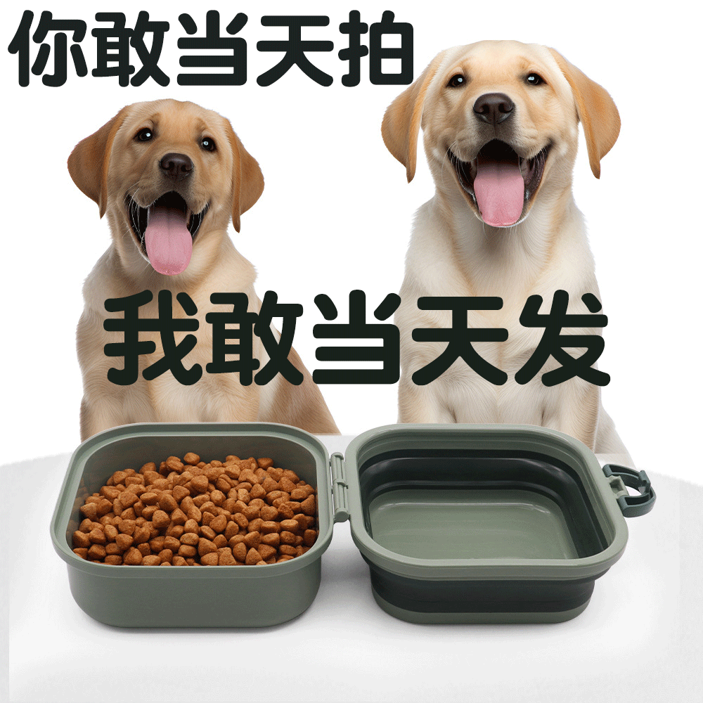 喂食器户外便携式食盆猫咪宠物防打翻双碗盆喝水喂食一体式饭碗盒