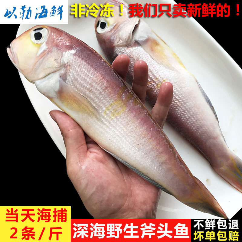 东海野生斧头鱼新鲜马头鱼鲜活甘鲷海鲜水产深海鱼红方头鱼2条/斤