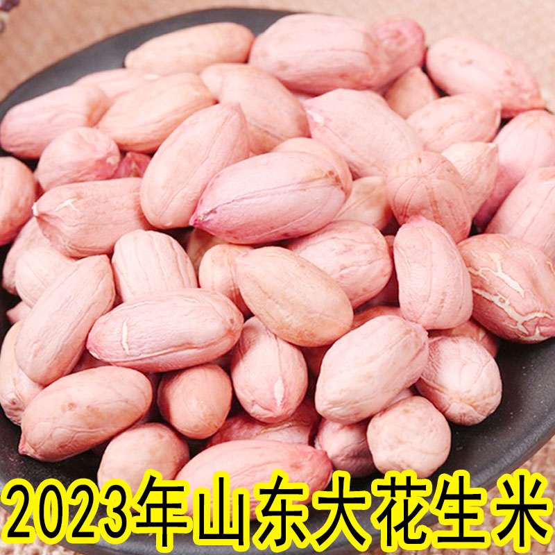 花生米2023年生新山东新货特大特级新鲜大粒花生优质农家花生仁