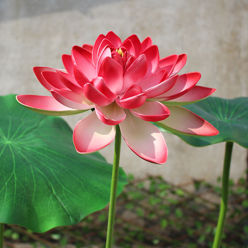 仿真带杆荷花荷叶家居装饰绢花假莲花供奉睡莲家居鱼水池装饰花艺