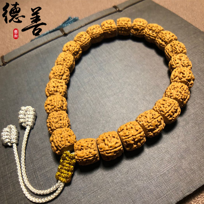 小金刚菩提一代盘龙