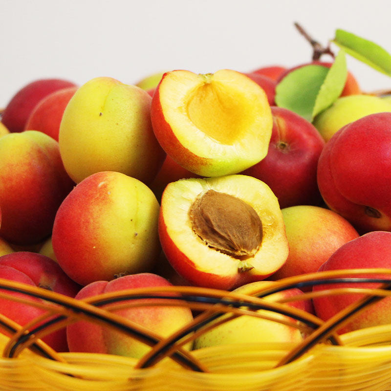 彭阳正宗红梅杏新鲜头茬宁夏当季大杏子甜杏子红梅杏5斤顺丰包邮