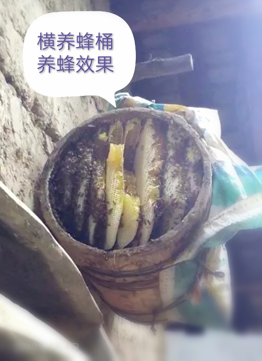 横养蜂桶卧式蜂桶土养桶圆蜂桶三峡中蜂桶土蜂桶诱引招招蜂蜜蜂箱