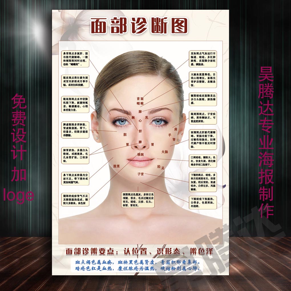 人体面部穴位图经络美容院脸部按摩中医养生图片挂图刮痧面诊海报