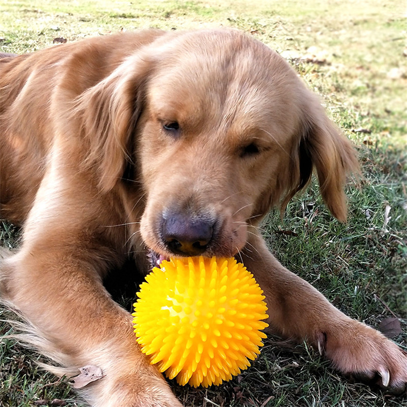 狗狗玩具耐咬洁齿发声玩具球宠物大型犬金毛中小型犬泰迪磨牙解闷在类目 宠物/宠物食品及用品, 猫/狗玩具, 发声玩具中 - 来自Buy2taobao.com提供专业的淘宝代购服务