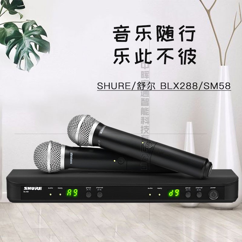 Shure/舒尔 BLX288/SM58 专业一拖二无线话筒 演出/家用/会议专用|ruв категории видео электрических приборов, микрофон/микрофон - от Buy2taobao.com для оказания профессиональной услуги покупки агента Taobao