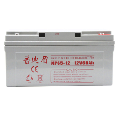 普迪盾蓄电池12V65AH/NP65-12 UPS电源EPS直流屏专用免维护蓄电池