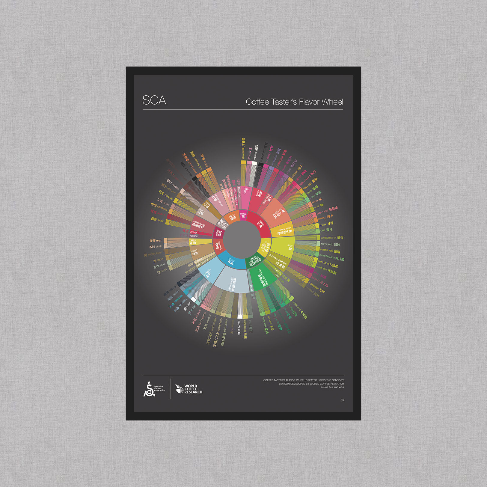 sca高清原色风味轮挂画适应于咖啡厅咖啡师黑色铝合金框