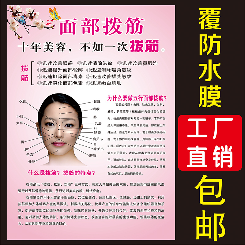 美容院中医养生馆海报面部拨筋写真图片挂图广告宣传装饰挂画kt板