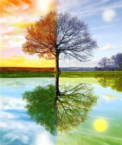 钻石画四季树价格