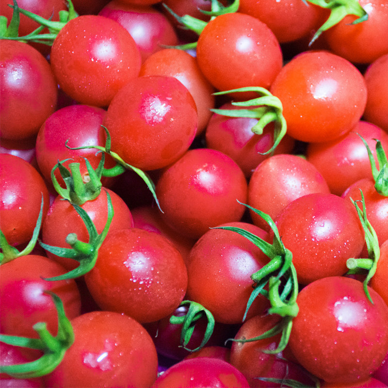 圣女果千禧小番茄新鲜海南千禧果春桃小西红柿水果樱桃草莓小柿子