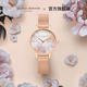 OliviaBurton手表女 ins风女款手表 小众轻奢女式女表 礼物手表女