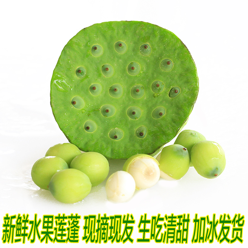 加冰顺丰空运】湖北现摘新鲜莲蓬 太空水果莲蓬嫩莲蓬生吃清甜3斤在类目 水产肉类/新鲜蔬果/熟食, 新鲜蔬菜/蔬菜制品, 新鲜蔬菜, 新鲜莲蓬中 - 来自Buy2taobao.com提供专业的淘宝代购服务