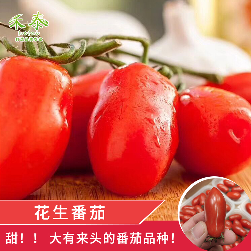 花生番茄种子小柿子四季家庭阳台盆栽千禧樱桃圣女果小西红柿种籽