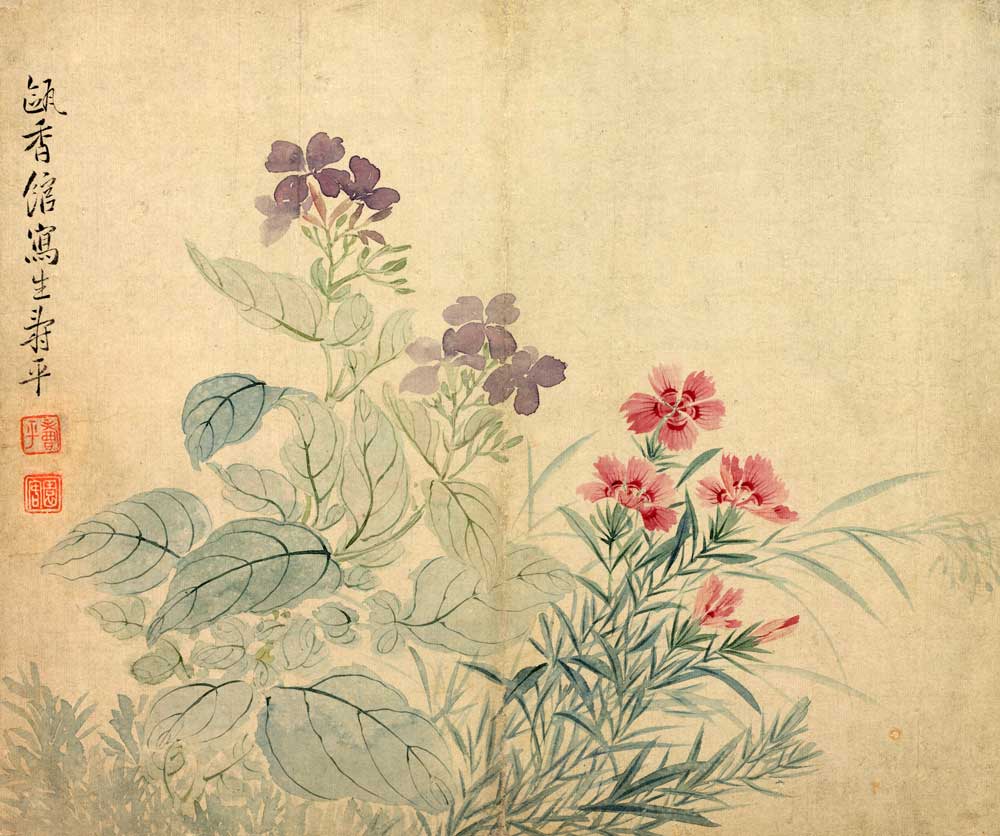 清代恽寿平花卉册豆花石竹284x34cm仿古名家国画花鸟画小品