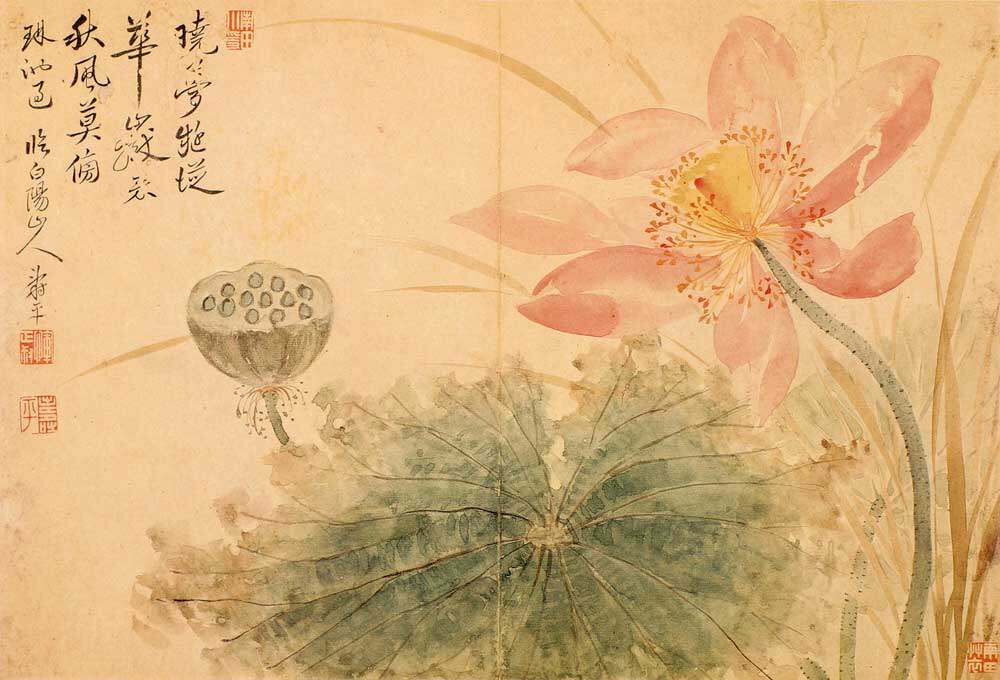 清代 恽寿平 出水芙蓉 仿古名家 国画花鸟小品 28x40cm 册页——御