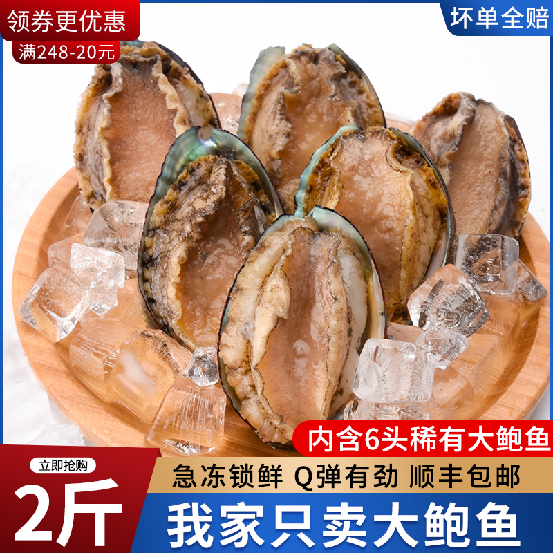 闽正鲍鱼鲜活煮冻特大个10头海鲜水产大鲍鱼净重550g1斤1两发顺丰