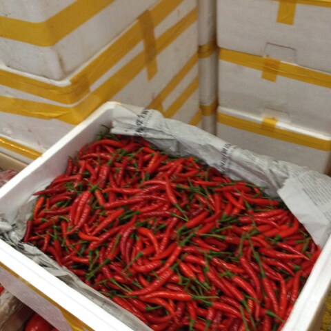 新鲜 泰椒 豆捞火锅专用小辣椒 特色小米椒 红尖椒 250克装