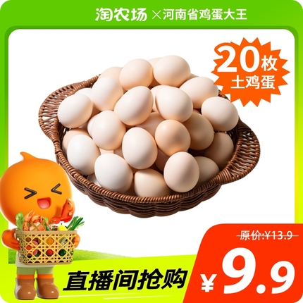 河南省鸡蛋大王 新鲜土鸡蛋40g/枚农家散养天然柴鸡蛋 草鸡蛋