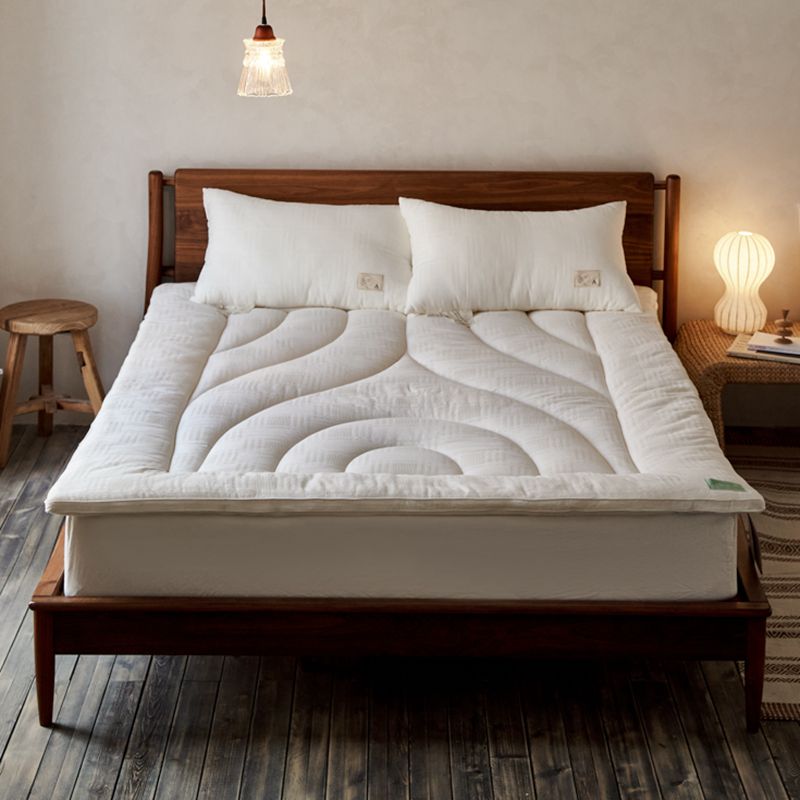 A类全棉大豆纤维床垫软垫家用铺床的褥子可折叠大学生宿舍上下铺
