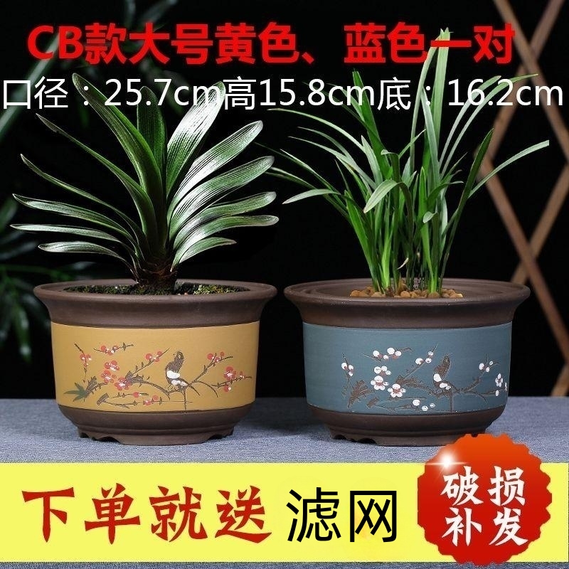 紫砂花盆 陶瓷花盆 君子兰专用兰花盆 精品腊梅花盆四季海棠花盆