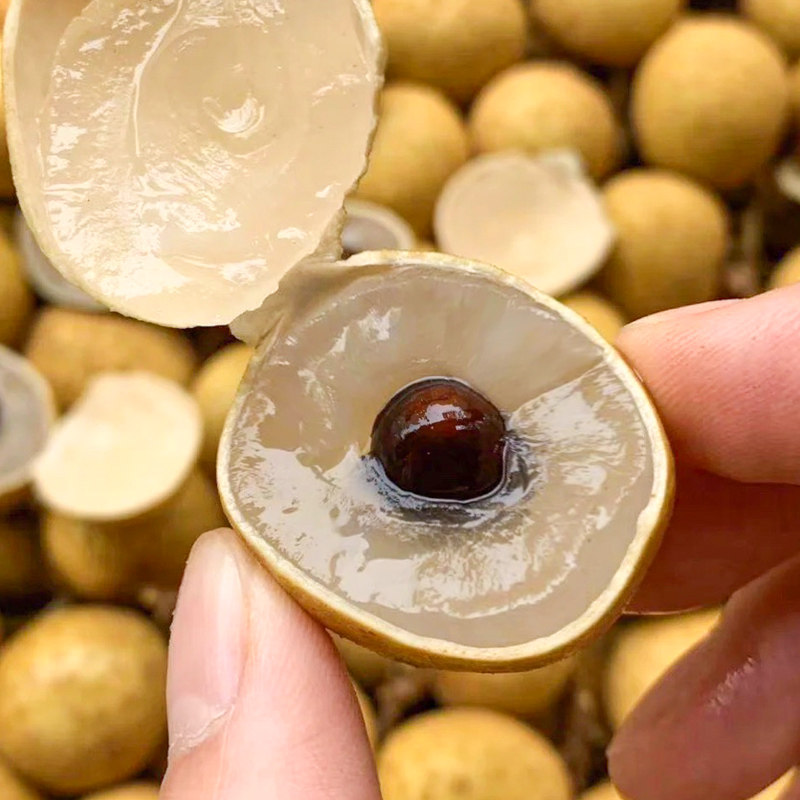 顺丰大果5斤广东石硖龙眼新鲜桂圆老树现摘现发当季水果整箱包邮9