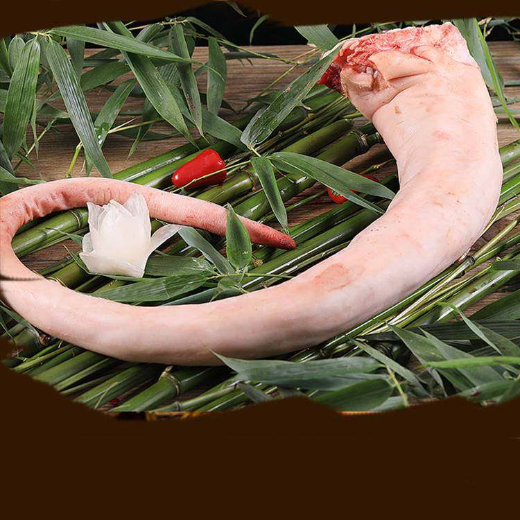 新鲜整根带皮黄牛尾牛尾骨土牛尾巴