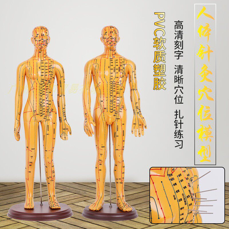 人体针灸模型经络穴位中医全身十二铜人模特图扎针练习硅胶小皮人