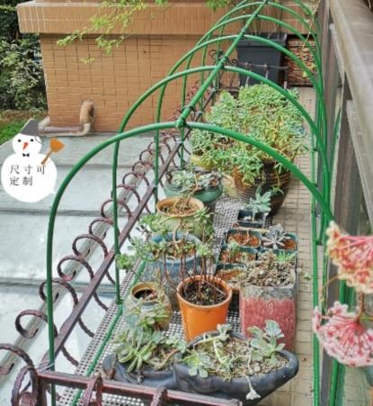 阳台阳台庭院花卉温室家用小暖房植物花卉温室大棚保温棚冬季在类目 鲜花速递/花卉仿真/绿植园艺, 园艺用品, 其它园艺用品中 - 来自Buy2taobao.com提供专业的淘宝代购服务