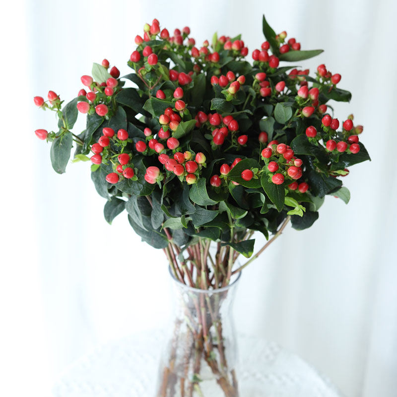 特价百合花 鲜花 一扎_鲜花速递同城红豆一扎鲜切花相思豆云南昆明