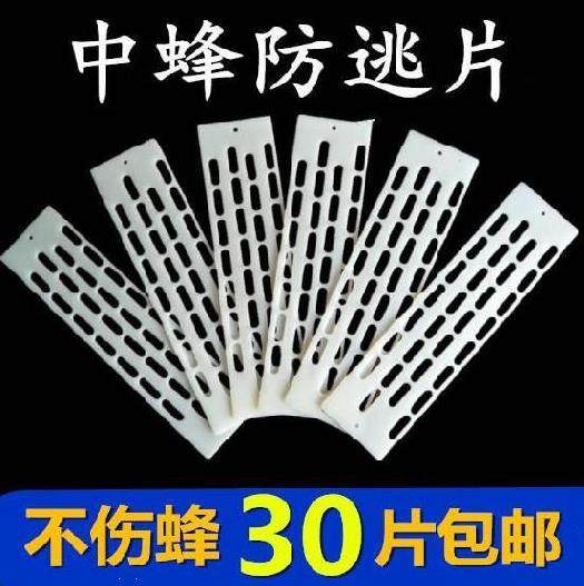 蜜蜂防逃片中蜂王防逃片多功能蜜蜂养蜂专用工具养蜂全套中囊抗体