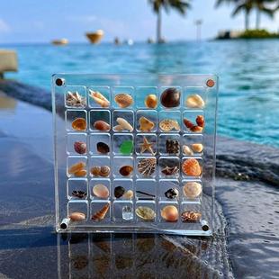 贝壳收纳盒亚克力正方形透明海边微型石头标本磁力相框展示收藏