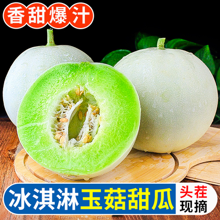 正宗玉菇甜瓜9斤新鲜水果整箱包邮当季香瓜蜜瓜冰淇淋哈脆甜密瓜5