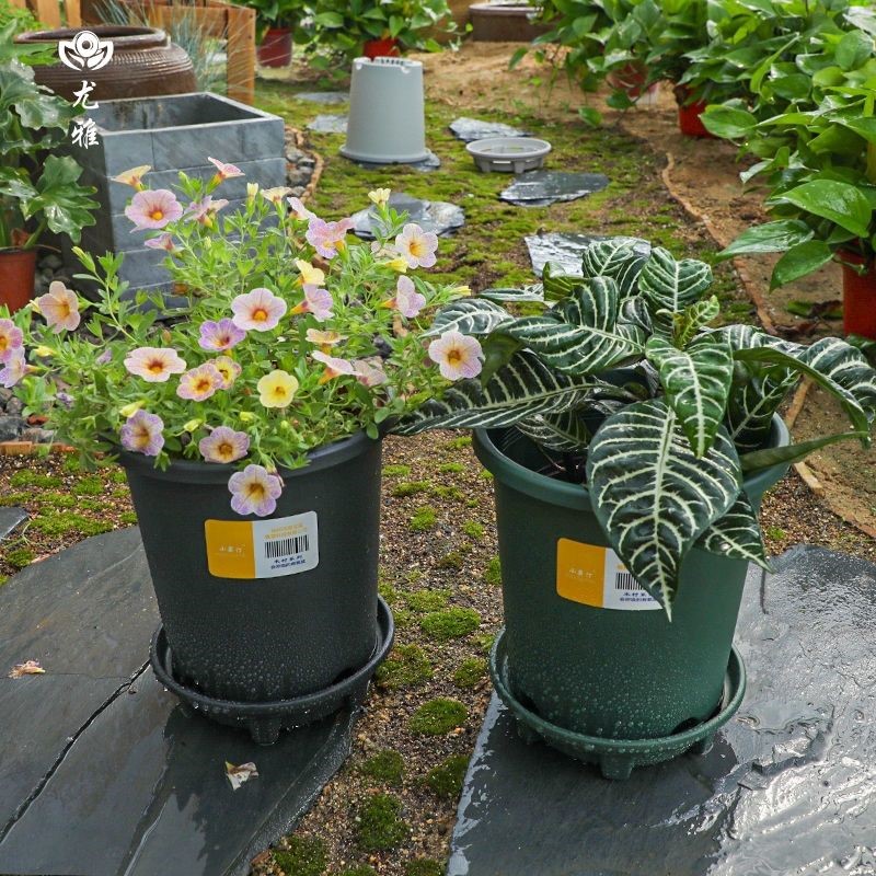 新款三代加仑盆加厚树脂控根透气室内阳台养花绿植简约北欧风花盆