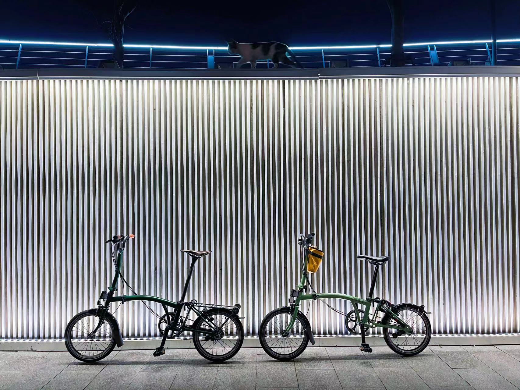 上海出租赁小布brompton折叠车/自行车/公路车SPECIALIZED闪电sl6