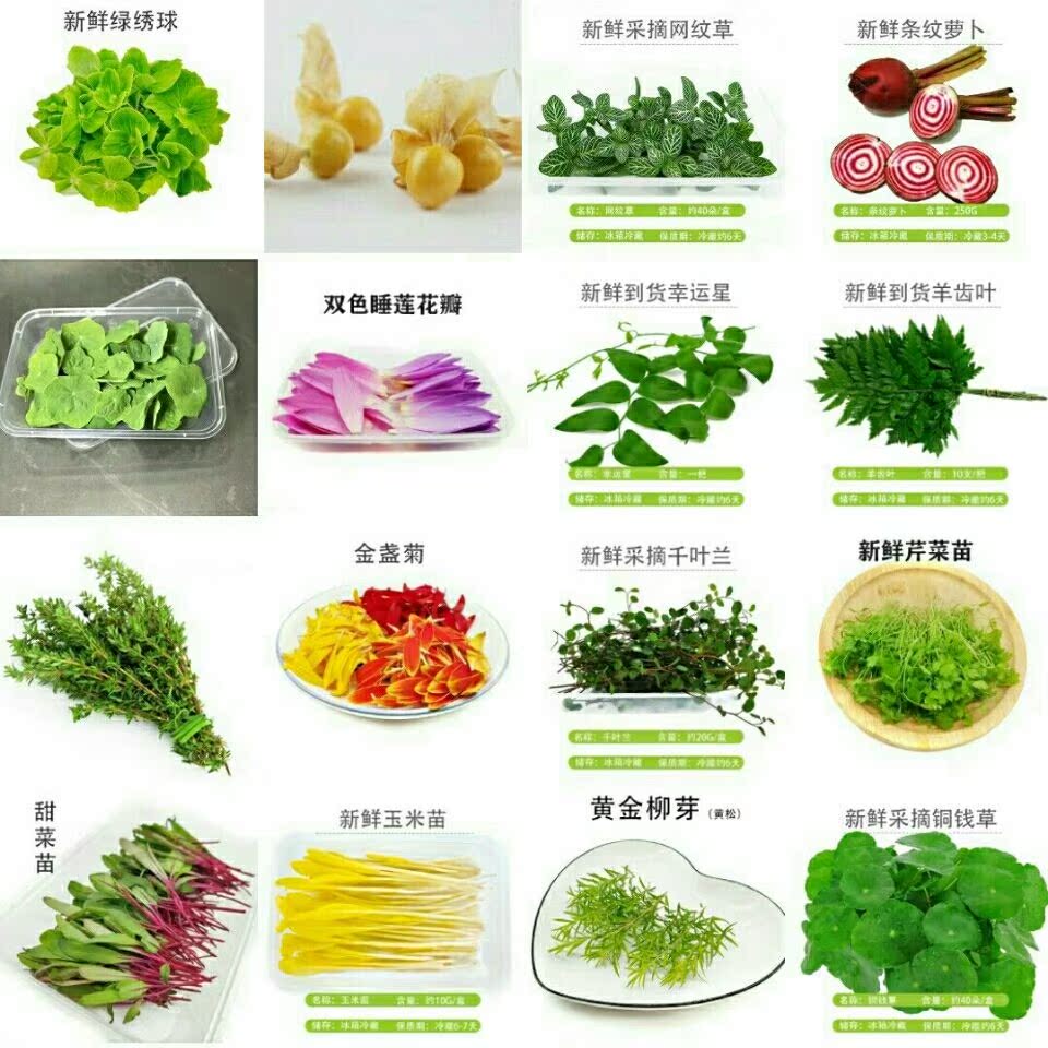 新鲜食用花西餐酒店摆盘花草凉菜装饰点缀花满5盒包邮