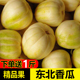 香瓜东北白糖罐脆甜当季现摘小甜瓜孕妇水果新鲜应季5斤10斤整箱