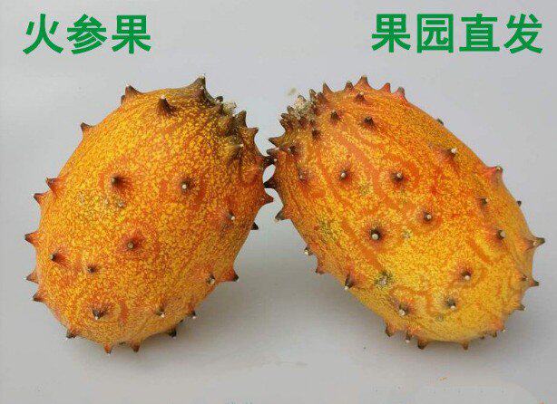 搜索"灭霸水果"的优惠券结果页-搜券网